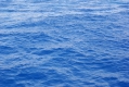 Tinte oder Wasser ?
