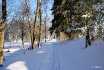 Spaziergang