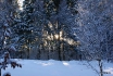 Spaziergang